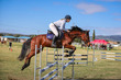 Laidley Show  2025 10 JO-5324.jpg