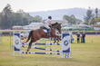 Laidley Show  2025 10-5083.jpg