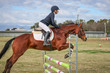 Laidley Show  2025 10-5086.jpg