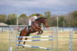 Laidley Show  2025 105 JO-6034.jpg