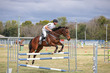 Laidley Show  2025 105 JO-6035.jpg