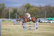 Laidley Show  2025 105 JO-6039.jpg