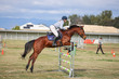 Laidley Show  2025 105-5377.jpg