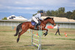 Laidley Show  2025 105-5378.jpg