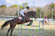 Laidley Show  2025 110 JO-6654.jpg