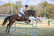 Laidley Show  2025 110 JO-6655.jpg