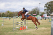 Laidley Show  2025 110-6215.jpg