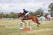 Laidley Show  2025 110-6216.jpg