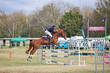 Laidley Show  2025 110-6218.jpg