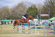 Laidley Show  2025 110-6219.jpg