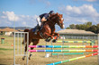 Laidley Show  2025 120 JO-7011.jpg
