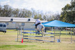 Laidley Show  2025 120-6751.jpg