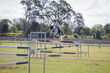 Laidley Show  2025 120-6753.jpg