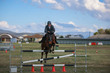 Laidley Show  2025 130-7097.jpg