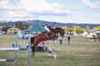 Laidley Show  2025 130-7099.jpg