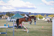 Laidley Show  2025 130-7100.jpg