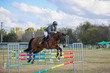 Laidley Show  2025 130-7102.jpg