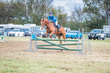 Laidley Show 2025 80-7086.jpg