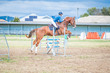 Laidley Show 2025 80-7088.jpg