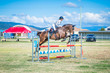 Laidley Show 2025 90-7259.jpg