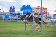Lowood Show 2026 100-5627.jpg