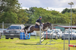 Lowood Show 2026 100-5628.jpg