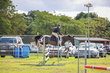 Lowood Show 2026 100-5629.jpg