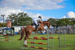 Lowood Show 2026 110-5810.jpg