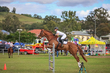 Lowood Show 2026 110-5811.jpg