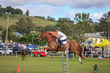 Lowood Show 2026 110-5812.jpg