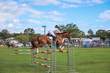 Lowood Show 2026 120-5969.jpg