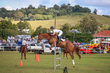 Lowood Show 2026 120-5970.jpg