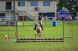 Lowood Show 2026 30-3821.jpg