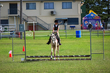 Lowood Show 2026 30-3822.jpg