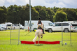 Lowood Show 2026 30-3825.jpg