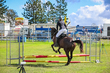 Lowood Show 2026 50-3972.jpg