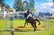 Lowood Show 2026 50-3973.jpg