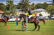 Lowood Show 2026 50-3974.jpg
