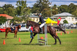 Lowood Show 2026 50-3975.jpg