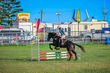 Lowood Show 2026 70 -4436.jpg