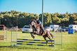 Lowood Show 2026 70 -4438.jpg