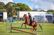 Lowood Show 2026 70 Friday-4267.jpg
