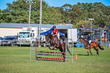 Lowood Show 2026 80-4798(1).jpg