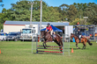 Lowood Show 2026 80-4799(1).jpg