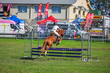 Lowood Show 2026 80-5176(1).jpg