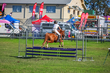 Lowood Show 2026 80-5177(1).jpg