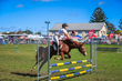 Lowood Show 2026 80-5180(1).jpg
