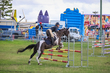 Lowood Show 2026 90-5316(2).jpg
