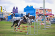 Lowood Show 2026 90-5317.jpg