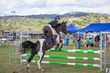 Lowood Show 2026 90-5320(2).jpg
